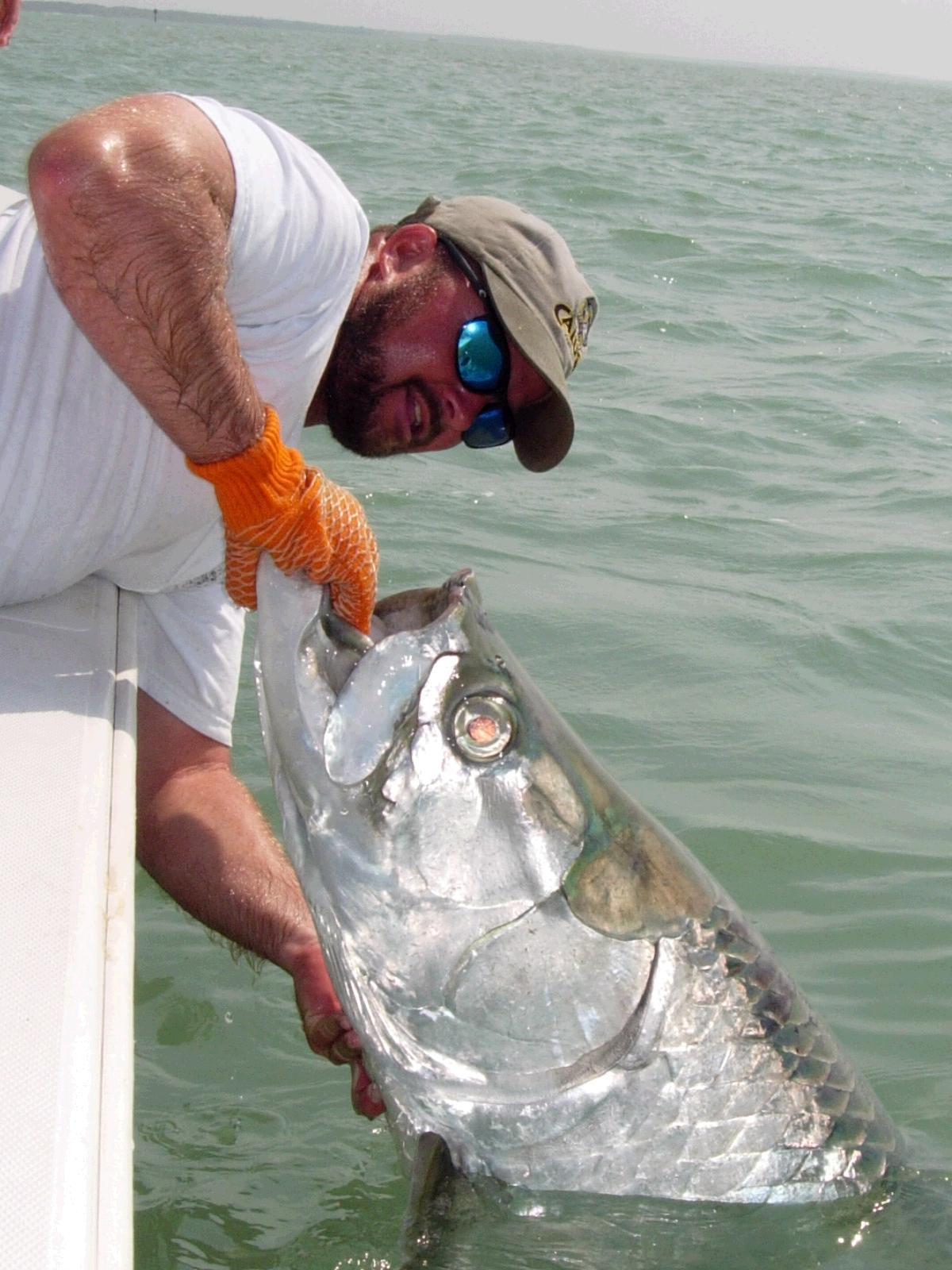 Tarpon Fishing Charters From Boca Grande Ft Myers Marco Island